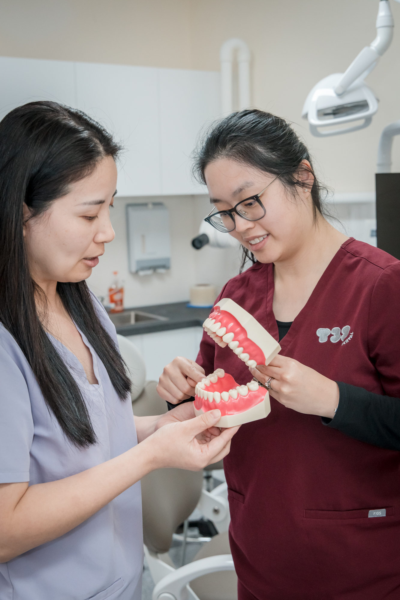 Dental professional demonstrating the placement of composite veneers using a 3D model of teeth.